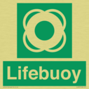 lifebuoy-with-symbol~